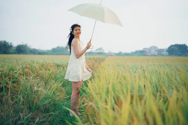 Relaxed Brunette Girl Walking Rice Fields — Zdjęcie stockowe