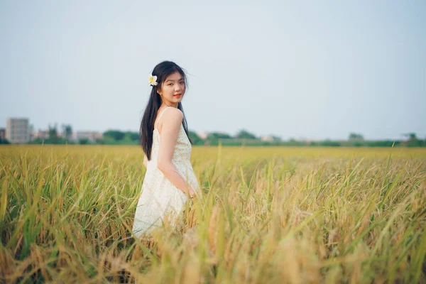 Relaxed Brunette Girl Walking Rice Fields — 图库照片