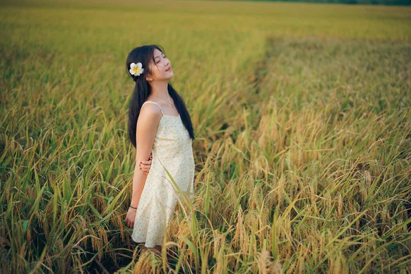 Relaxed Brunette Girl Walking Rice Fields — Stok fotoğraf