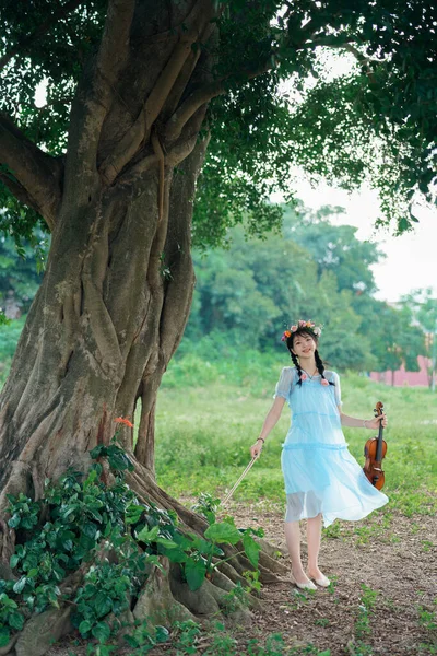 stock image The girl is playing the violin under the big tree