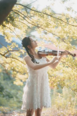 Kız büyük ağacın altında keman çalıyor.