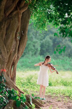 Kız büyük ağacın altında keman çalıyor.