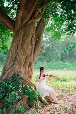 Kız büyük ağacın altında keman çalıyor.