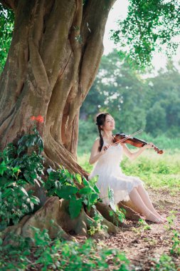 Kız büyük ağacın altında keman çalıyor.