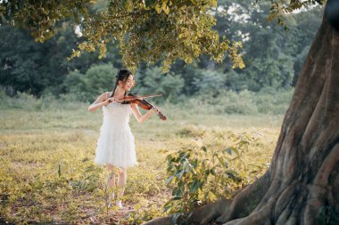 Kız büyük ağacın altında keman çalıyor.