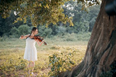 Kız büyük ağacın altında keman çalıyor.