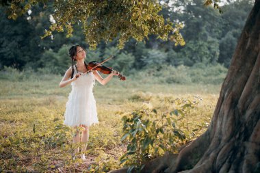 Kız büyük ağacın altında keman çalıyor.
