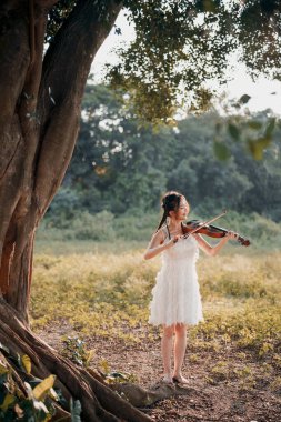 Kız büyük ağacın altında keman çalıyor.