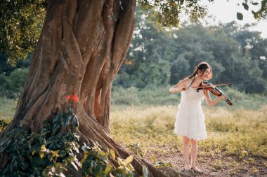 Kız büyük ağacın altında keman çalıyor.