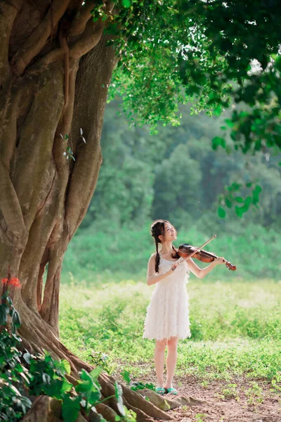Das Mädchen Spielt Geige Unter Dem Großen Baum — Stockfoto