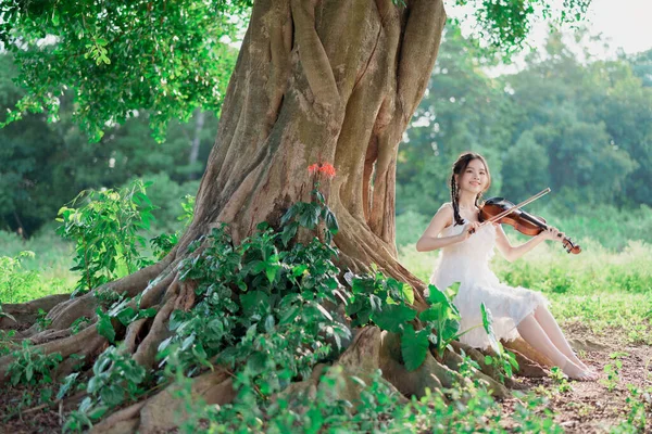 Девушка Играет Скрипке Большим Деревом — стоковое фото