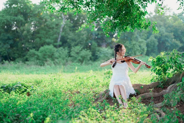 Chica Está Tocando Violín Bajo Gran Árbol — Foto de Stock
