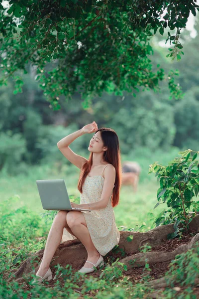 stock image The girl uses a laptop computer in the woods