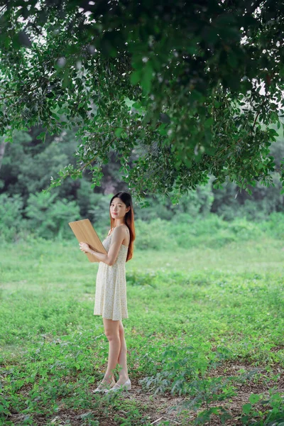 少女は大きな木の下に描かれている — ストック写真