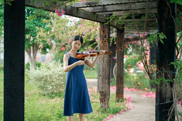 Девушка Играет Скрипке Саду — стоковое фото