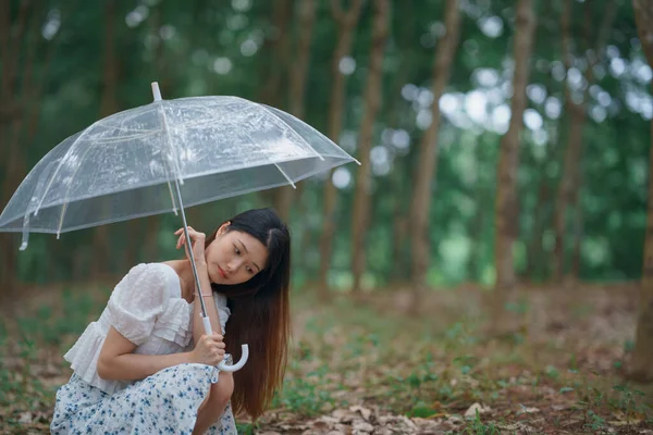 stock image portrait of romantic girl in the woods