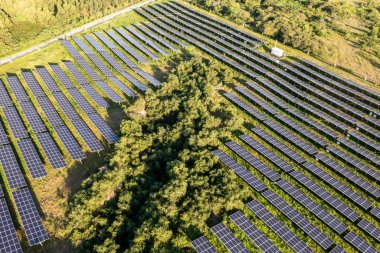 Bahçedeki güneş panelleri.