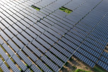 Güneş enerjisi ve etrafındaki pirinç tarlası