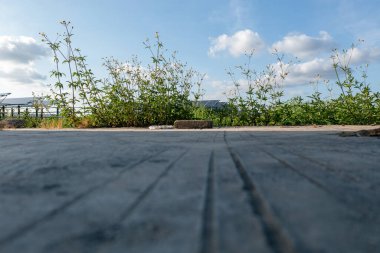 Kırsal yolda gün doğumu