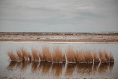 Xinjiang 'ın manzarası