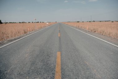 Xinjiang 'da vahşi yollarda