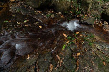 güzel bir şelale bir dağ yamacında