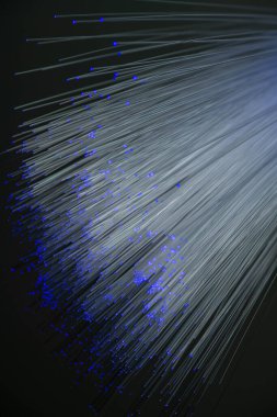 Optik fiber siyah bir arkaplanda izole edilir