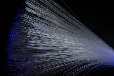 Optik fiber siyah bir arkaplanda izole edilir