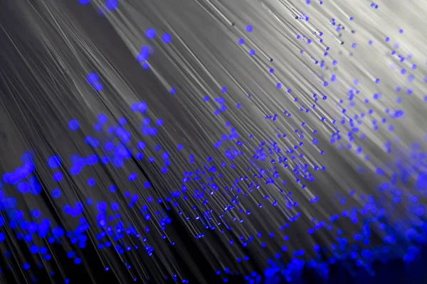 Optik fiber siyah bir arkaplanda izole edilir