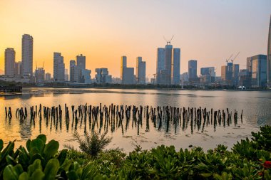 Shenzhen, Çin Şehir Parkı