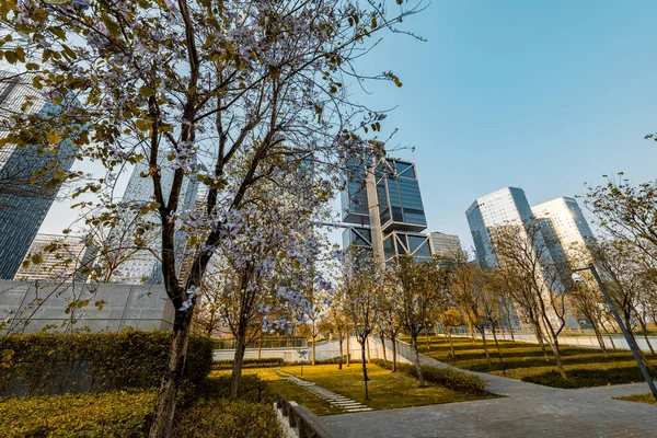 Kontorsbyggnaden Shenzhen Stad — Stockfoto
