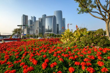 Shenzhen 'in şehir yolu yeşili, Çin