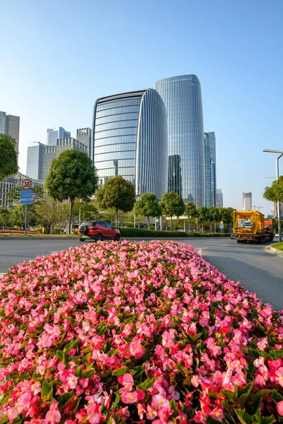 Stock image Urban road greening of shenzhen,china