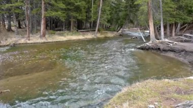 Lav Deresi Kuzey Yellowstone Ulusal Parkı 'ndaki Grand Loop Yolu' ndan görüldüğü gibi. Kamera soldan sağa doğru ses ile dönüyor.