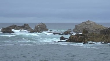 Pasifik Korusu yakınlarındaki Monterey Bay, California 'da kayalara çarpan dalgalar. Kuşlar dalgaların üzerindeki kayalarda dinlenirken görülebilir. Kamera sağdan sola dönüyor.