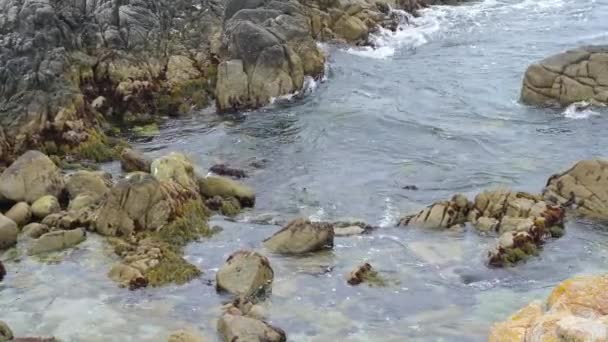 太平洋グローブの近くのモントレー湾の潮流プールに波が衝突する 水の動きは半分のスピードです カメラが固定されています — ストック動画