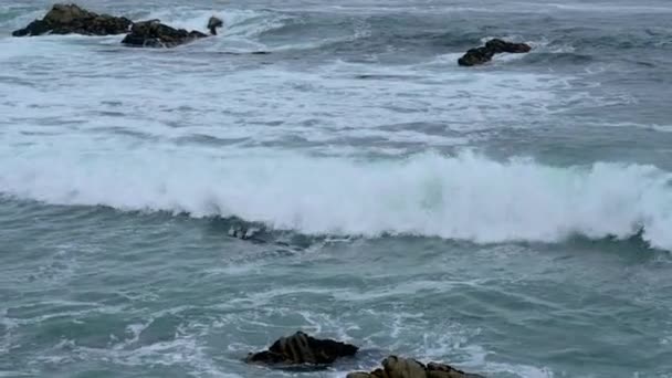 在加州蒙特雷湾的太平洋小树林附近 海浪冲破了海岸 紧要关头是一半的速度 随着浪涌而去 — 图库视频影像