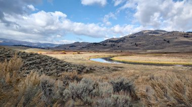 Sonbaharda Slough Creek, Yellowstone Ulusal Parkı.