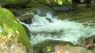 Ormandaki kayaların üzerinde bir dere kabarcıkları. Buzlu yosun. Kamera kilitlendi. Sesle..