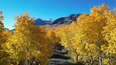 Utah 'taki Wasatch Dağları' nda düşen yıldızların havadan görünüşü. Bu görüntü Sundance Nordic Center 'ın kuzeyindeki N. Alpine Road' dan (Utah State Highway 92)..