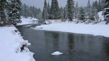 Soda Butte Deresi boyunca kar yağıyor, Lamar Vadisi 'nin doğusunda, Kuzey Doğu Girişi yolunda, Yellowstone Ulusal Parkı' nda..