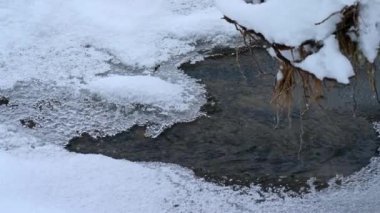 Soda Butte Creek, Yellowstone Ulusal Parkı boyunca kış başladığında havuzlar donmaya başlar..