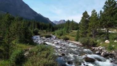 Rock Creek, güney Montana 'daki Absaroka-Beartooth Wilderness yakınlarında bir hava kamerasında görüldüğü gibi. Kamera akıntıya karşı ilerler sonra suyun üstüne tırmanır ve vadiyi ortaya çıkarır. Sesle..