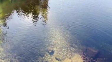 Merced Nehri 'nin temiz suyu, ağaçların ve gökyüzünün yansımaları....