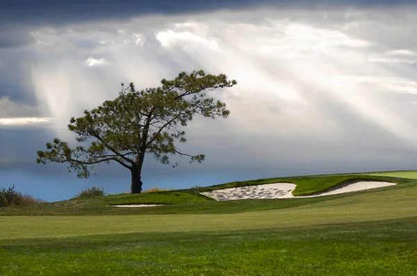 トーリーパインズゴルフコースから太平洋を望む — ストック写真