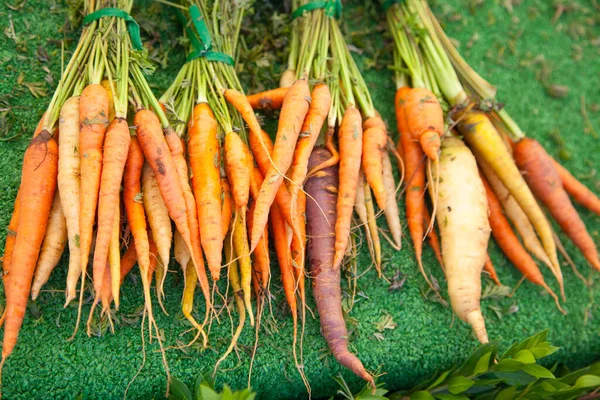 Freshly Picked Selection of Organic Carrots on Display at the Farmers Market.