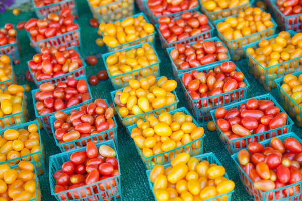 Freshly Picked Selection Organic Tomatoes Display Farmers Market — Stock Photo, Image