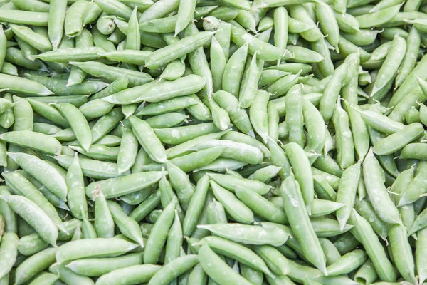 Çiftçi Pazarı Nda Yeni Seçilmiş Organik Yeşil Fasulye Seçimi — Stok fotoğraf