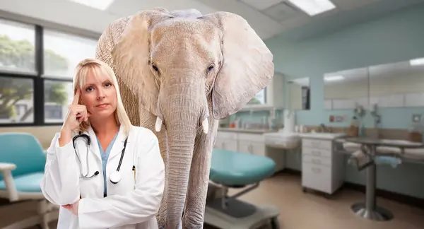 Allvarlig Kvinnlig Blond Läkare Ett Sjukhus Med Elefant Rummet — Stockfoto