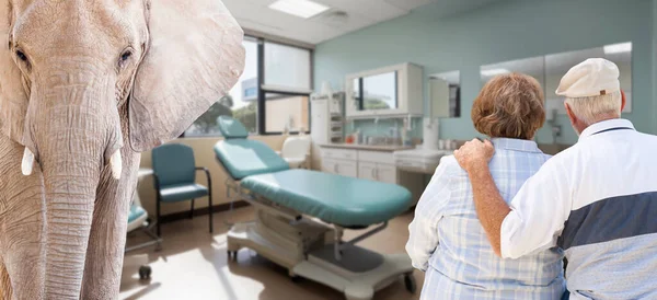 Oudere Paar Van Achteren Een Ziekenhuis Met Een Olifant Kamer — Stockfoto